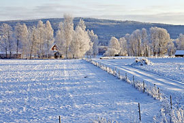 Bildstrecke Weihnachten in Vrmland, Schweden