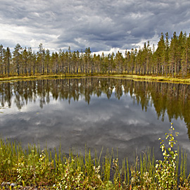 nordwärts – See in Lappland